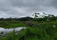 Acelen é autuada por suspeita de crime ambiental imagem