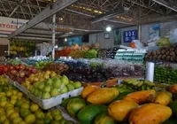Ceasa do Ogunjá já tem data para voltar a funcionar imagem