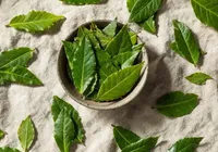 Coloque folha de louro nesses lugares para afastar a negatividade e atrair dinheiro
