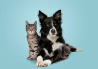Aprenda a escolher a melhor hospedagem para o seu animal