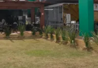 Linha de fertilizante vai ser apresentada na Bahia Farm Show 2025 imagem