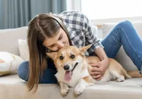O que a psicologia diz sobre pessoas que sempre acariciam cães?