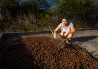 Projeto estadual promete impulsionar agricultura familiar no semiárido imagem