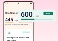 Score do Serasa: veja dicas para ter uma boa pontuação imagem