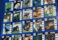 Jogo do bicho pode ser liberado no Brasil