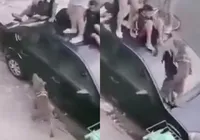 Vídeo: ataque de pitbull faz crianças subirem em teto de carro imagem