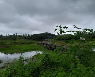 Acelen é autuada por suspeita de crime ambiental