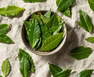 Coloque folha de louro nesses lugares para afastar a negatividade e atrair dinheiro