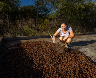 Projeto estadual promete impulsionar agricultura familiar no semiárido