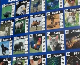 Jogo do bicho pode ser liberado no Brasil