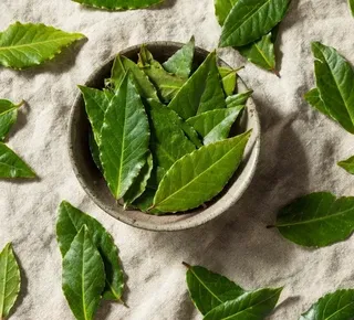 Coloque folha de louro nesses lugares para afastar a negatividade e atrair dinheiro - Imagem