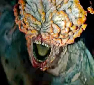 Fungo da série The Last of Us vai infectar humanos? Entenda nova descoberta da ciência - Imagem