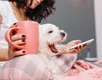 IA pode ajudar humanos a conversar com seus pets; entenda como - Imagem