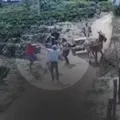 Disputa familiar? Suspeitos de matar homem a pauladas tomam atitude inesperada imagem