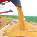 Efeito do tarifaço? Espanha ultrapassa EUA como destino do agro baiano imagem