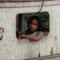 Esse filme foi censurado por mostrar o caos escondido na Amazônia imagem