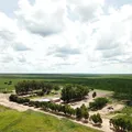 Fazenda baiana é vendida por mais de R$ 140 milhões em mega negociação imagem