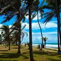 Feriado confirmado para cidades da Bahia em 31 de julho; veja detalhes imagem