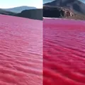 Fim dos tempos? Mar da Galileia fica vermelho e assusta religiosos imagem