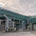 Gêmeos digitais chegam ao mercado de celulose e impulsionam automatização do setor imagem