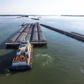 Governo autoriza estudo de viabilidade de nova hidrovia na Bahia imagem