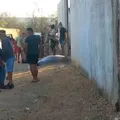 Grupo armado invade festa e mata três pessoas em cidade na Bahia imagem