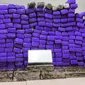 Homem é preso com quase 300 tabletes de drogas em van de turismo imagem