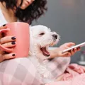 IA pode ajudar humanos a conversar com seus pets; entenda como imagem