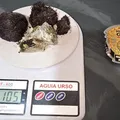 Mulher é presa após ser flagrada com maconha dentro da vagina imagem