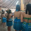 Mulheres e povos tradicionais recebem fomento de mercado de celulose imagem