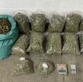 Mais de 30 quilos de maconha são apreendidos em Feira de Santana imagem