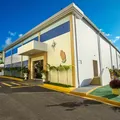 Projeto em Salvador vira rede de apoio para idosas e ajuda a prevenir depressão imagem