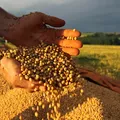 Tarifaço dos EUA pode gerar perdas bilionárias e desemprego na Bahia imagem