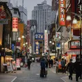 Tudo o que você precisa para viajar ao Japão imagem