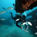Mergulho na Bahia: conheça 5 opções paradisíacas e imperdíveis imagem