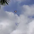 URGENTE: mulher morre eletrocutada ao tentar resgatar pipa em Salvador imagem