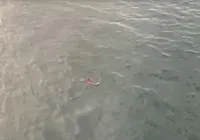 Aquaman? Suspeito de tráfico tenta fugir da polícia e é capturado em alto mar