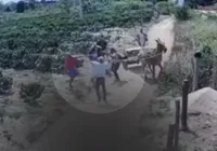 Disputa familiar? Suspeitos de matar homem a pauladas tomam atitude inesperada imagem