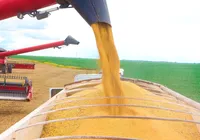 Efeito do tarifaço? Espanha ultrapassa EUA como destino do agro baiano imagem