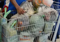 Empresa comercializava alimentos com insetos e mofo