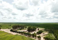 Fazenda baiana é vendida por mais de R$ 140 milhões em mega negociação imagem