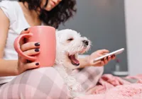 IA pode ajudar humanos a conversar com seus pets; entenda como imagem