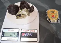 Mulher é presa após ser flagrada com maconha dentro da vagina imagem