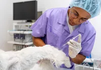 Palestras e debates marcam Semana de Medicina Veterinária em Salvador