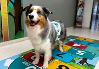 Terapia com pets oferece conforto a pacientes de hospital de Salvador
