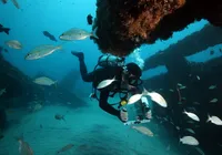 Mergulho na Bahia: conheça 5 opções paradisíacas e imperdíveis imagem
