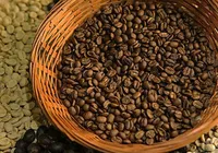 Café, carnes e +: veja produtos que devem ficar caros após tarifaço de Trump imagem