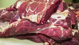 Tarifaço da China? Exportação de carne entra na mira de novas tarifas