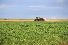 Brasil pode se tornar principal fornecedor de soja da China - Imagem