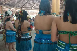Mulheres e povos tradicionais recebem fomento de mercado de celulose - Imagem
